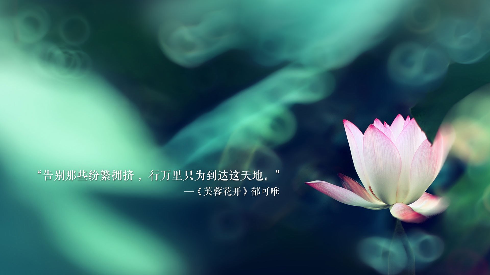 交响之夜，罗德里，唯一的光标