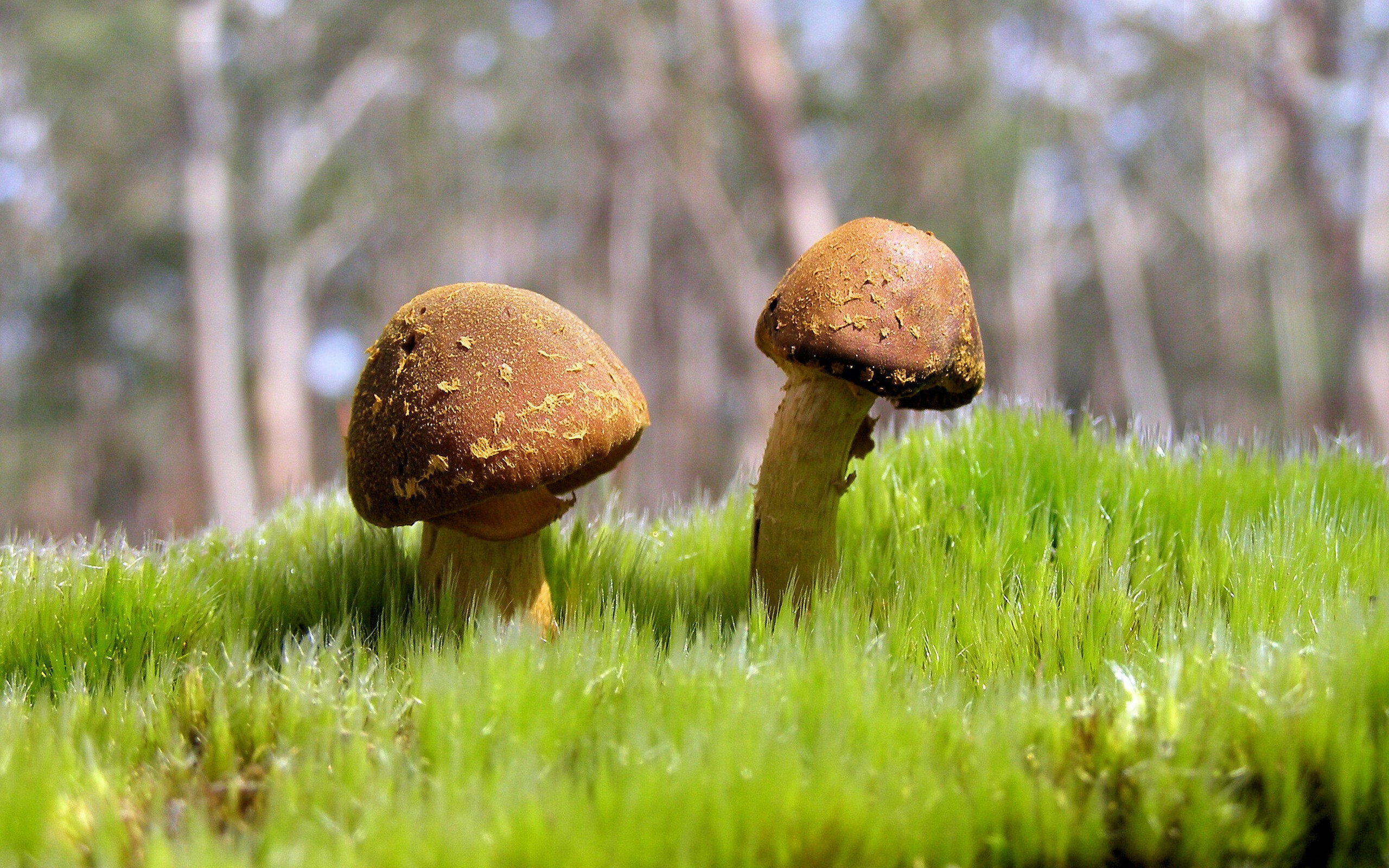 时间走私者阿圭罗,在卡塔尔对阵德国的缝隙里偷走0.37秒