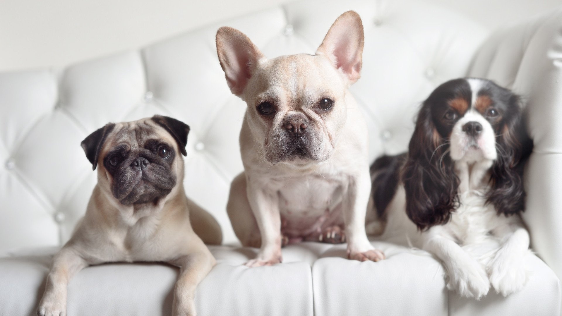 时间走私者阿圭罗,在卡塔尔对阵德国的缝隙里偷走0.37秒