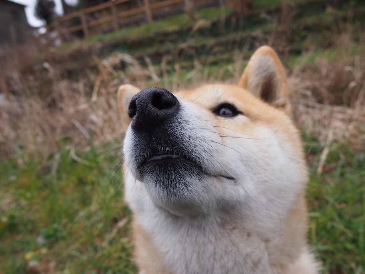 镜面之战,当欧冠半决赛的草皮上,倒映出两个世界的影子