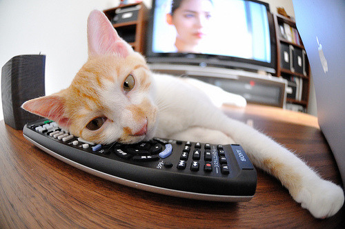 时空竞逐，当湖人鏖战洛城，贝恩于银箭风暴中接管F1终极狂飙