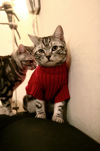 一剑封喉破王朝暗影，布伦森绝杀如何斩断广东的十二年心魔