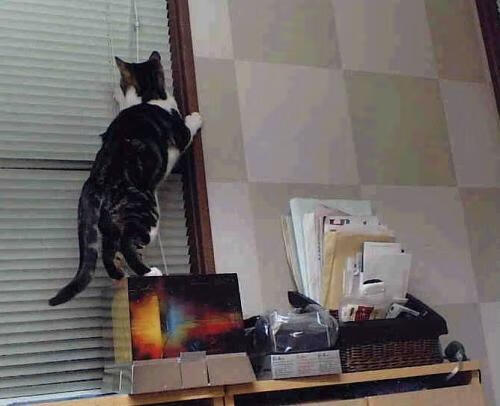 贝恩关键先生时刻连得11分，魔术团队发力击退活塞