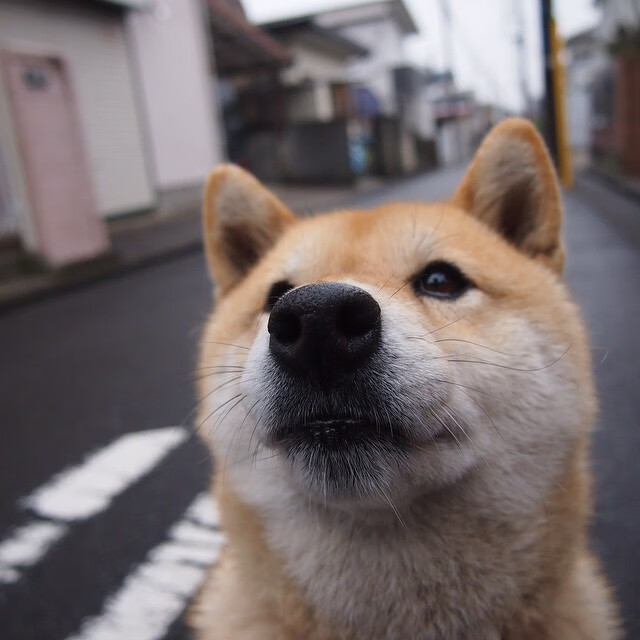 沉默的暴力美学，伦纳德以一己之力肢解魔术，76人强势挺进
