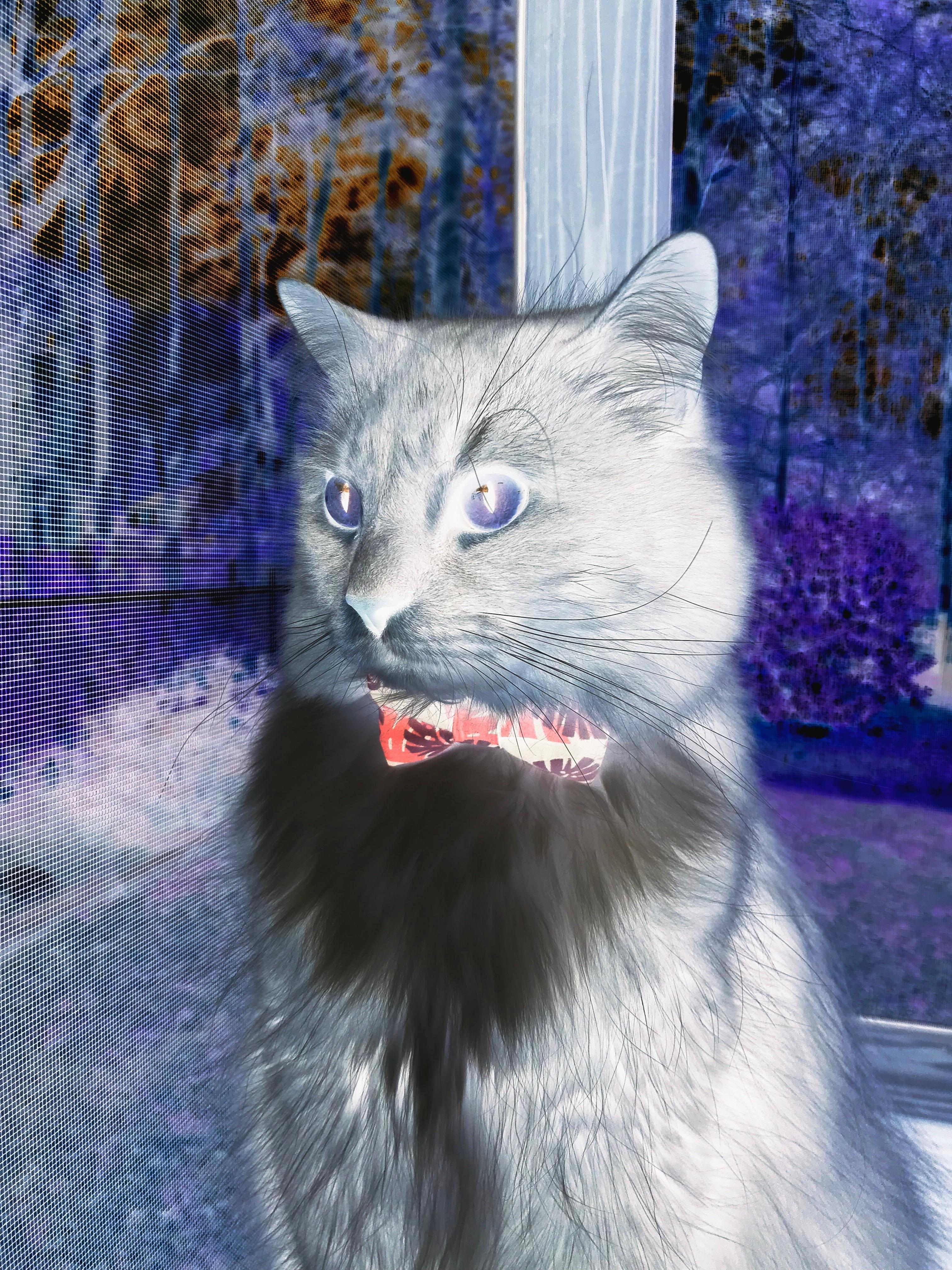 黑金风暴席卷陶瓷球场，阿圭罗核爆击穿黄色潜水艇！