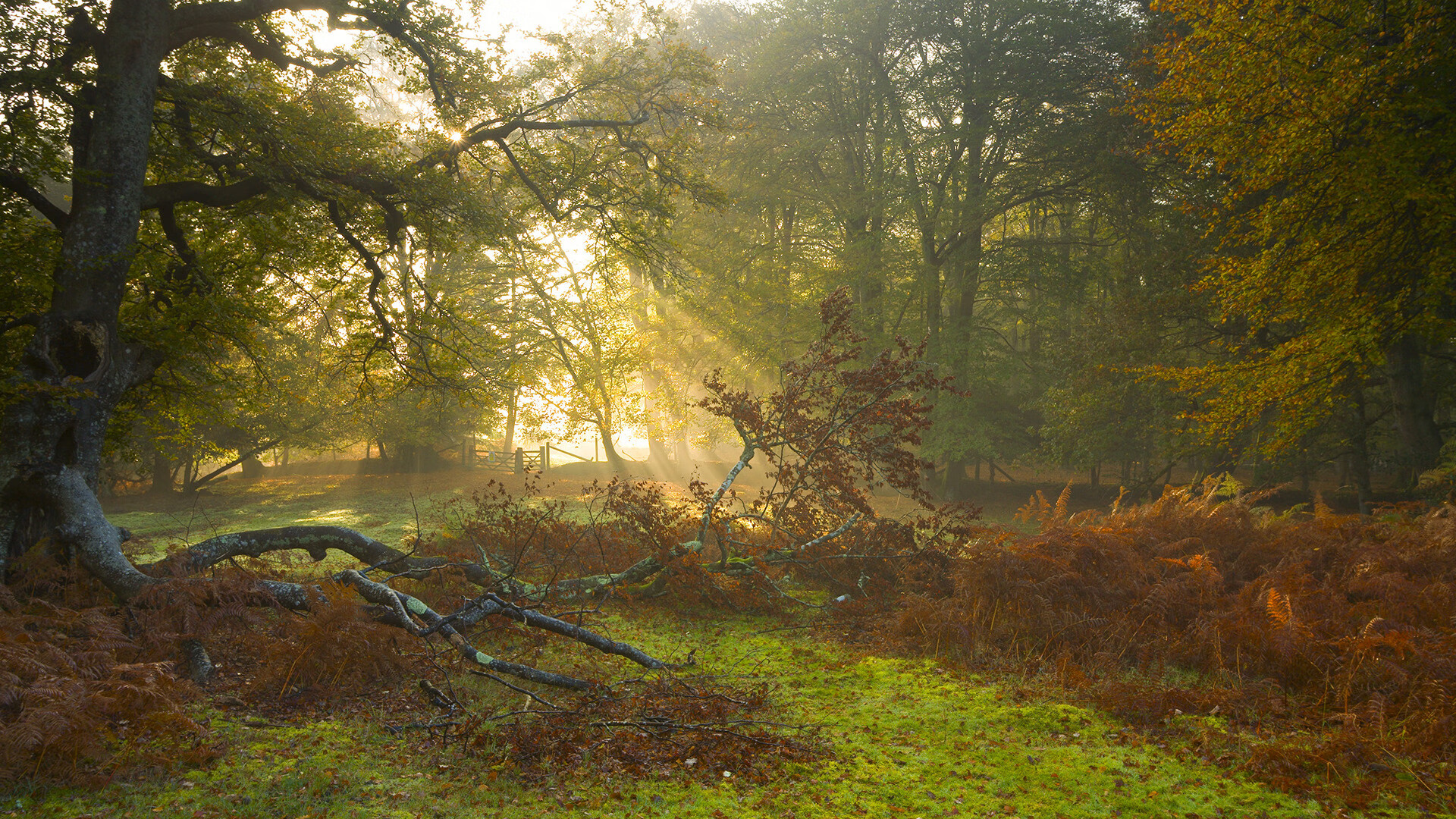 当沙漠风暴遇冰封节拍器,皇家社会用欧冠级节奏掌控,与沙特狂想曲间只隔着一个巴斯托尼