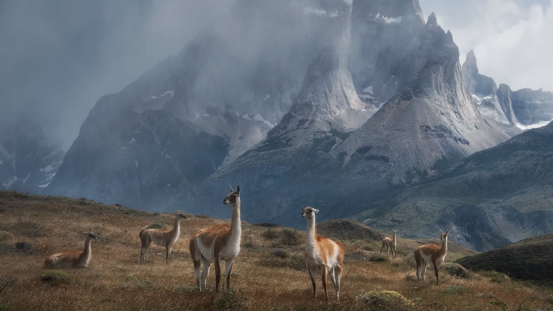 1.温布利绝唱,当三狮军团在2026世界杯的刀刃上跳舞