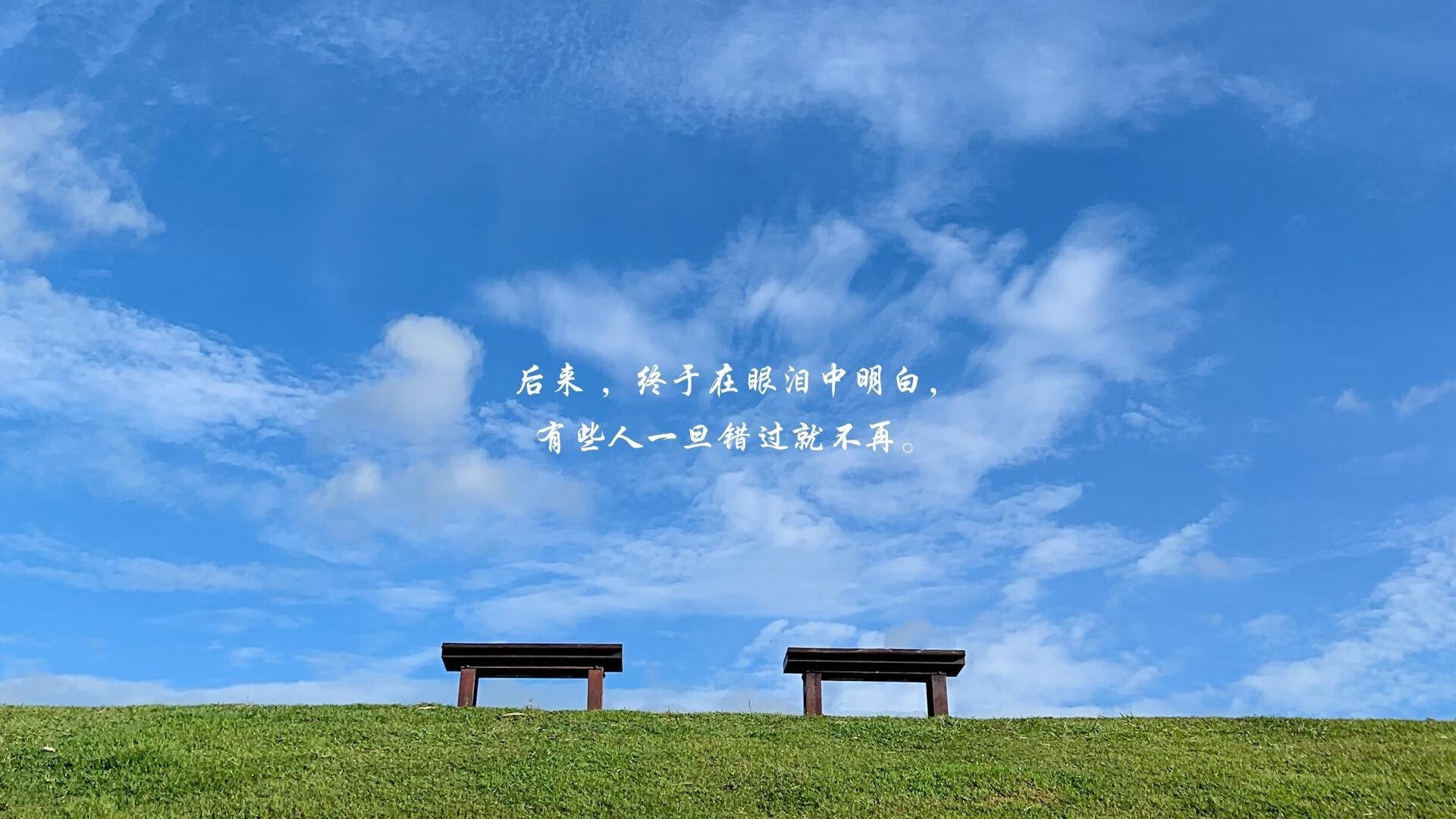 2026世界杯B组战报，厄瓜多尔高原风暴碾压波兰，库尔图瓦独木难支却惊艳全场