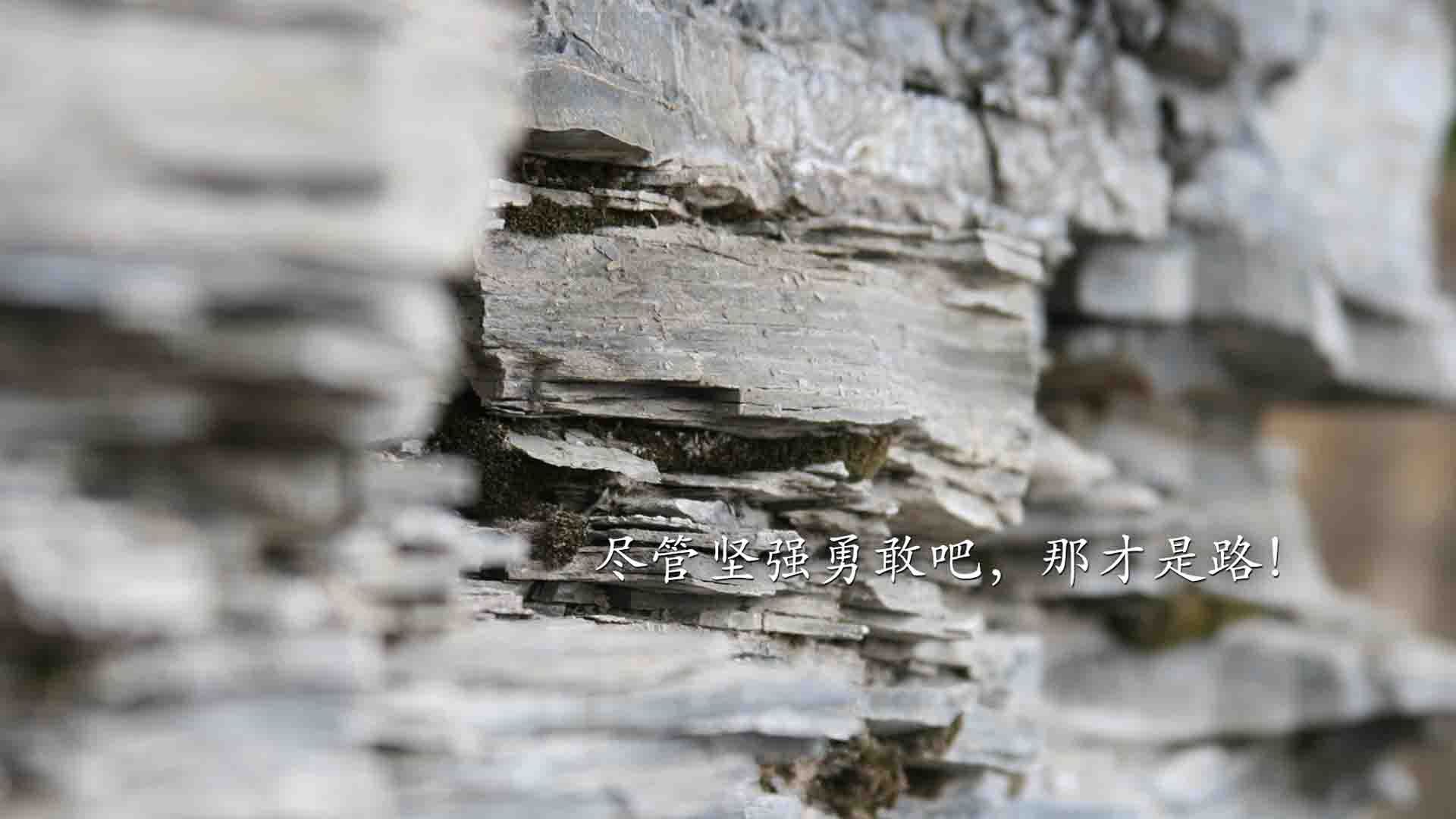 北欧风暴逆转北非铁骑,C罗绝命一击,瑞典在2026世界杯四分之一决赛上演神迹翻盘